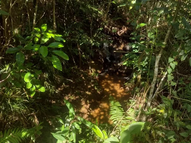 Imagem 4: Sítio em Salesópolis