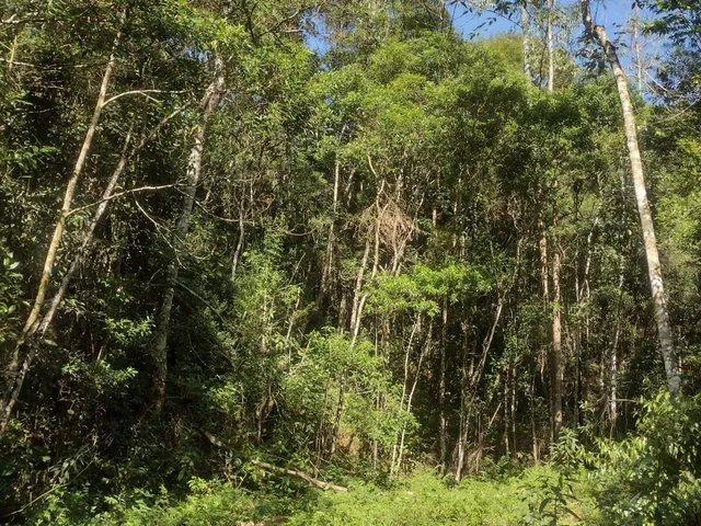 Imagem 8: Sítio em Salesópolis