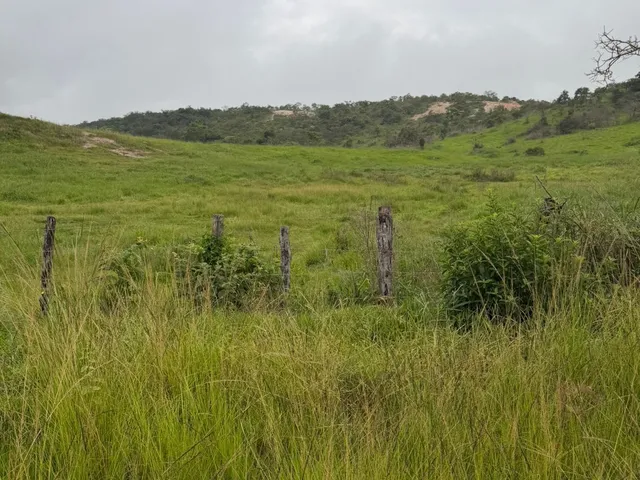 Imagem 4: Fazenda em Campanário