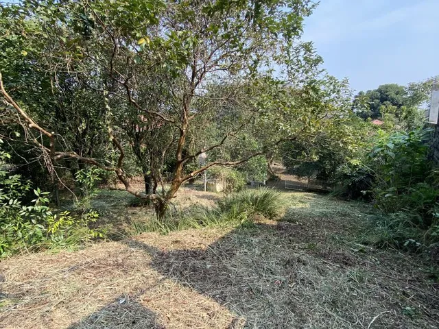 Imagem 7: PROPRIEDADE COM RESIDÊNCIA E GRANDE ÁREA ÚTIL DE TERRENO | 4.200 m²