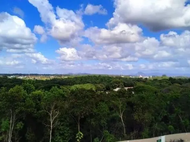 Imagem 4: Aluga-Se Apartamento Vista da Reserva