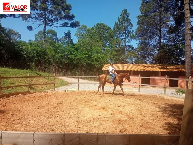 Imagem 9: Linda Casa de Campo em São Roque