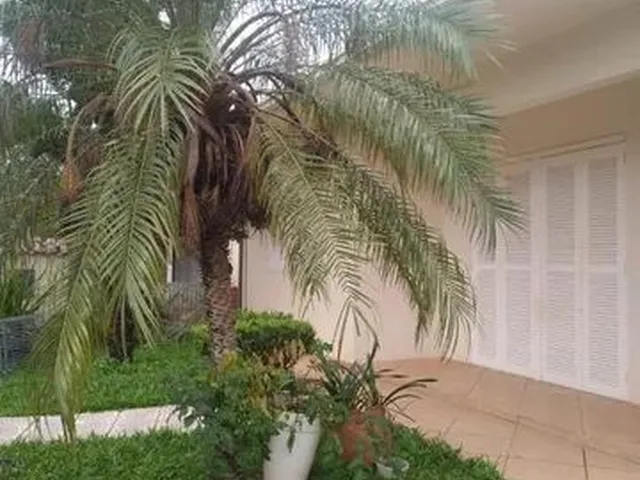 Imagem 6: Lajeado - Casa Padrão - Florestal