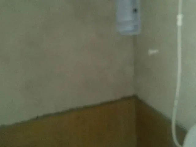 Imagem: Alugas Se Kit Net em Tijucas