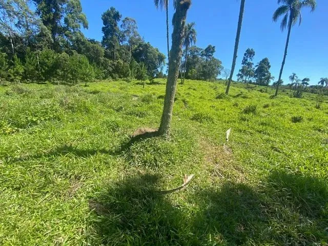 Imagem: Terrenos Direto com o Proprietario