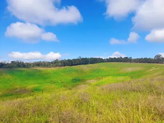 Imagem: Lote/Terreno para Venda Tem 500 Metros Quadrados