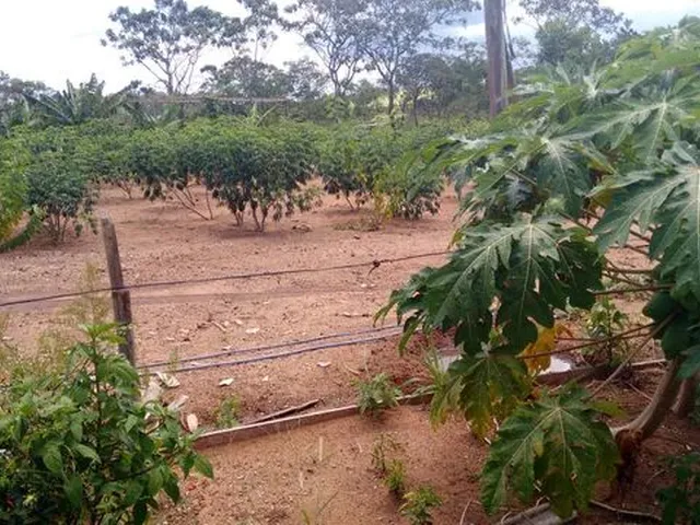 Imagem 12: Chácara 30 Mil M² Df. 03 Hectares