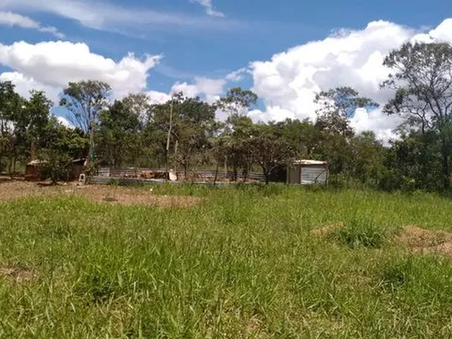 Imagem 7: Chácara 30 Mil M² Df. 03 Hectares