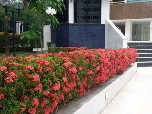 Imagem: O apartamento possui 3 Dormitórios, 3 Banheiros, 2 Vagas