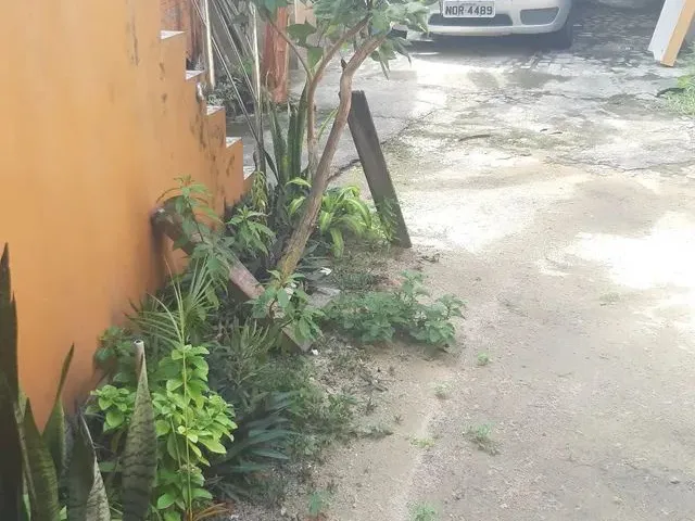 Imagem 10: Alugo Apto para Solteiro Ou Casal