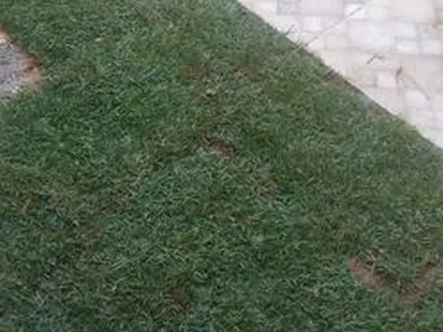 Imagem: Kitnet/Conjugada Semi-Mobiliada Prox. Floripa