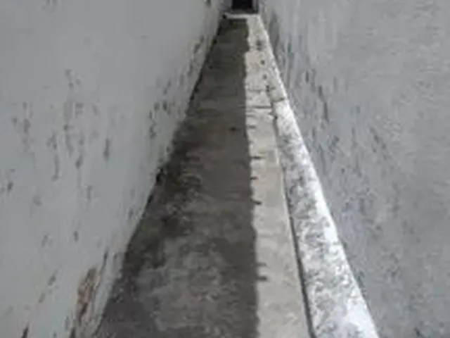 Imagem: Duplex Casa com Primeiro Andar Fundos