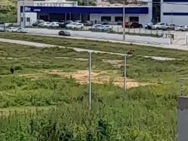Imagem: Vendo 2 Lotes em Araripina 320 M2- Loteamento