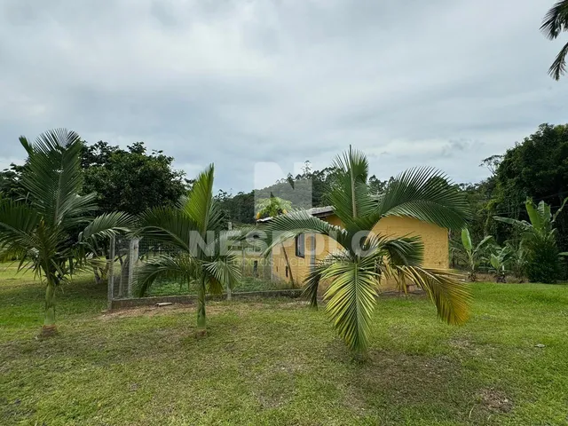 Imagem 3: Sítio à venda, Cerro, CAMBORIU - SC