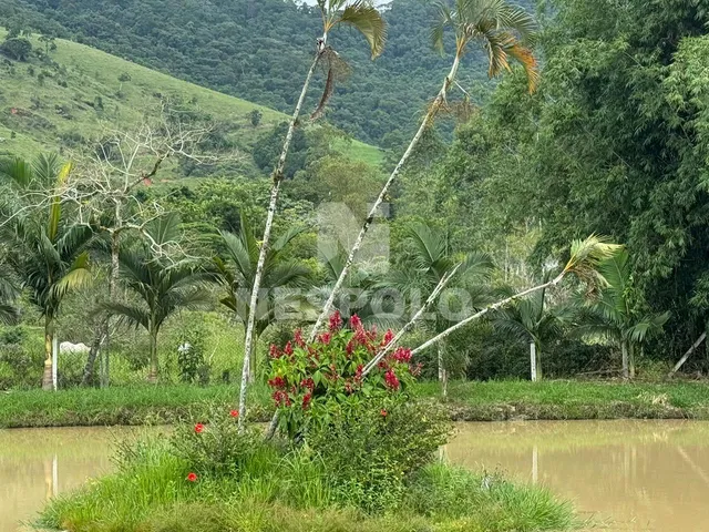 Imagem 6: Sítio à venda, Cerro, CAMBORIU - SC