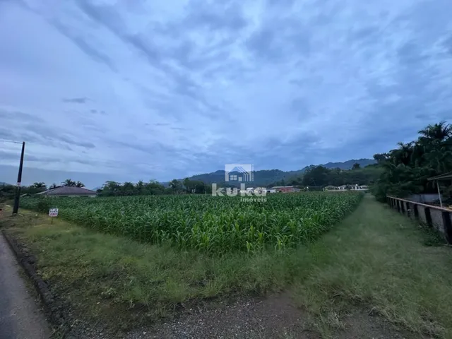 Imagem 2: ÁREA INDUSTRIAL À VENDA