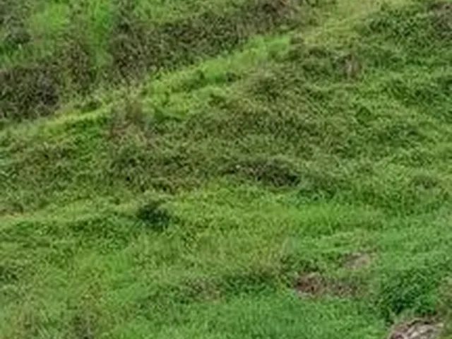 Imagem 3: Fazedinha em Urucuca