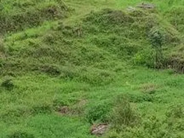 Imagem 11: Fazedinha em Urucuca