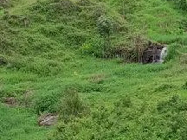 Imagem 14: Fazedinha em Urucuca