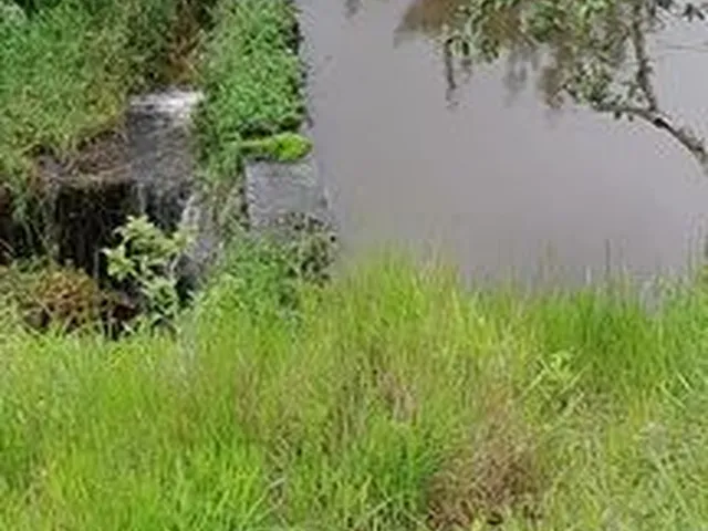 Imagem 12: Fazedinha em Urucuca