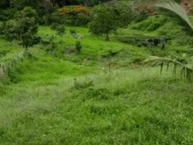 Imagem 10: Fazedinha em Urucuca