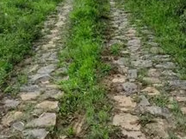 Imagem 2: Fazedinha em Urucuca