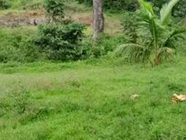 Imagem 13: Fazedinha em Urucuca