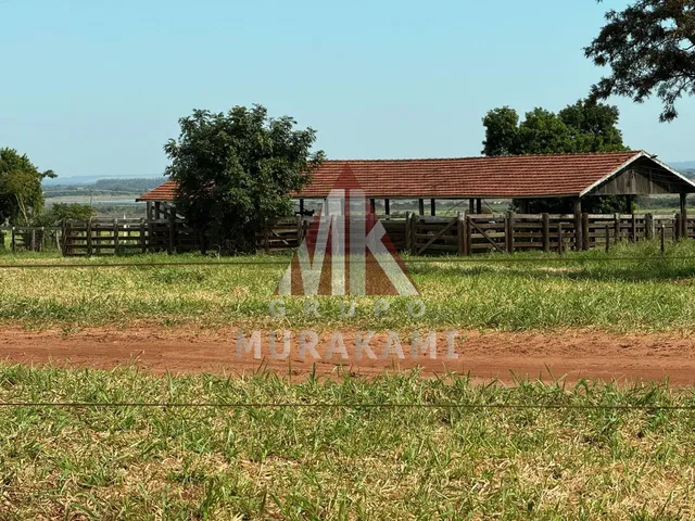 Imagem: Fazenda - Querência do Norte