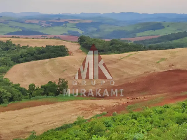 Imagem: Fazenda em Roncador Pr