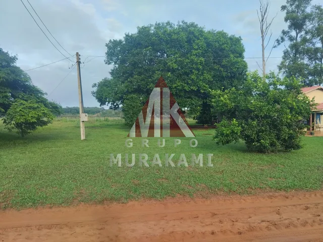 Imagem: FAZENDA - CAMPO GRANDE - MS