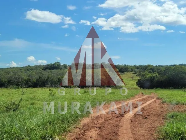 Imagem 2: FAZENDA - SONORA - MS