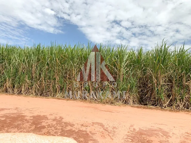 Imagem: PARANAVAÍ - PARANÁ