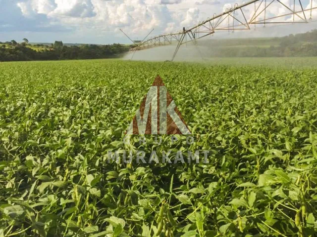 Imagem 1: FAZENDA - FLORESTÓPOLIS - PARANÁ