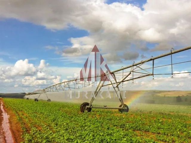 Imagem 4: FAZENDA - FLORESTÓPOLIS - PARANÁ