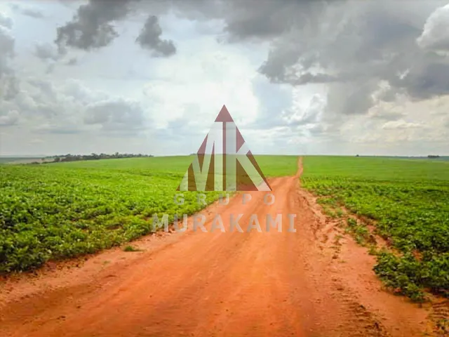 Imagem: FAZENDA - PIQUIRAVAÍ - PR