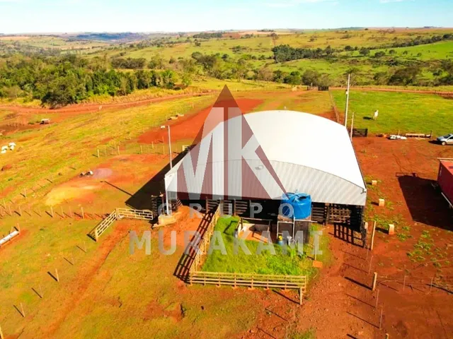 Imagem 2: FAZENDA - NOVA AURORA - PR