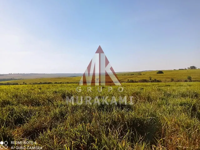 Imagem: FAZENDA - UMUARAMA - PARANÁ