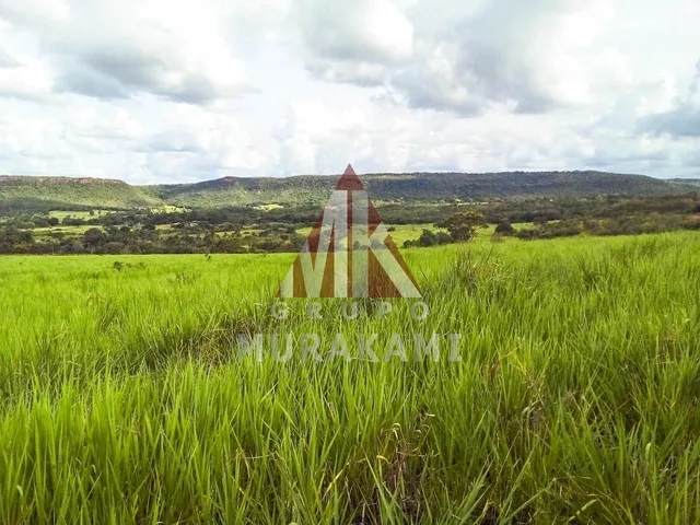 Imagem: Fazenda - Brasilândia - Mt