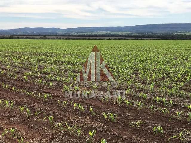 Imagem: RIO VERDE - MATO GROSSO DO SUL