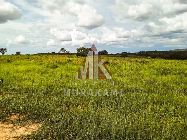 Imagem 6: FAZENDA - RIO VERDE - MS