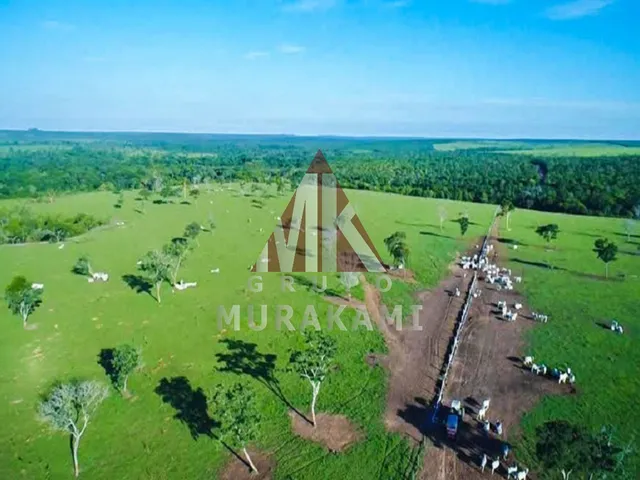 Imagem 6: FAZENDA - PARANATINGA - MT