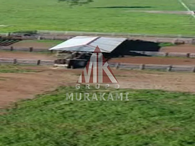 Imagem 10: FAZENDA - PARANATINGA - MT