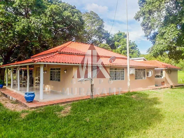 Imagem 3: FAZENDA - SÃO GABRIEL DO OESTE - MS