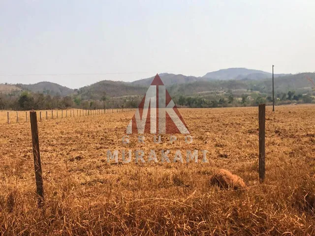 Imagem 6: FAZENDA - PARANATINGA - MT