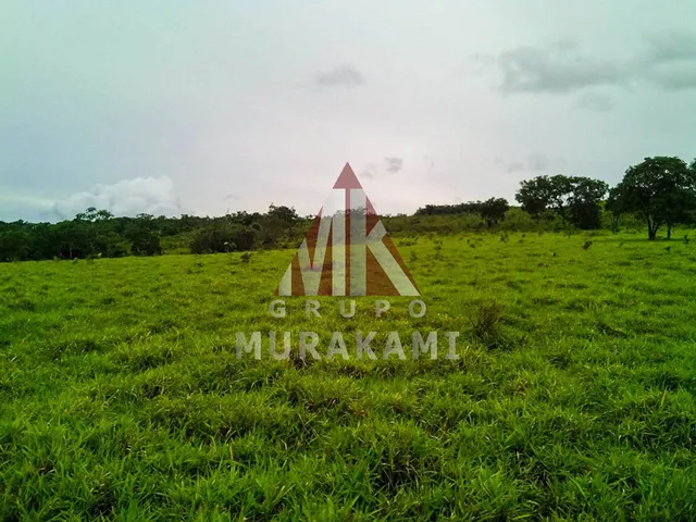 Imagem 9: FAZENDA - PARANATINGA - MT