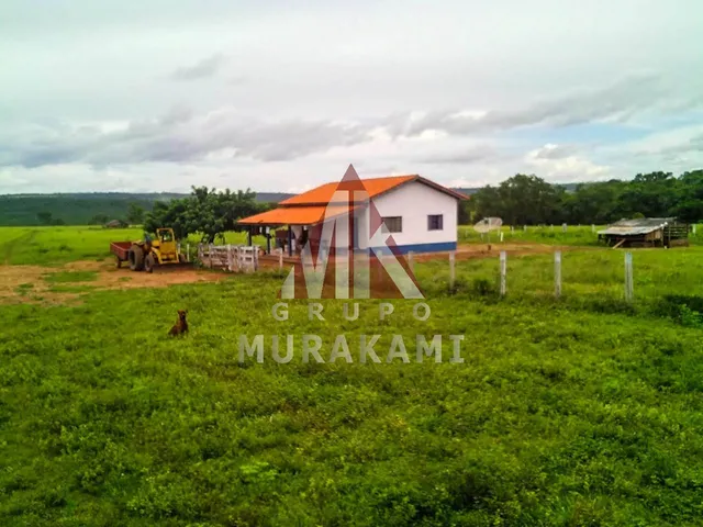 Imagem 5: FAZENDA - PARANATINGA - MT