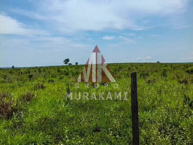 Imagem 11: FAZENDA - PARANATINGA - MT