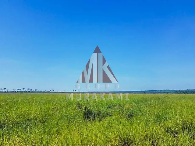 Imagem: FAZENDA - PARANATINGA - MATO GROSSO