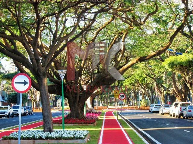 Imagem 2: SOBRELOJA COMERCIAL - MARINGÁ