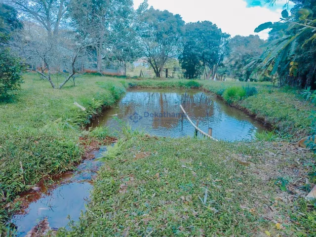 Imagem 13: SITIO RURAL em ALFENAS - MG, BEIRADA DA RODOVIA